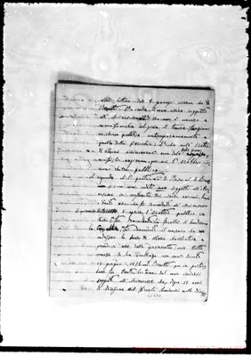 Fotogramma D 4