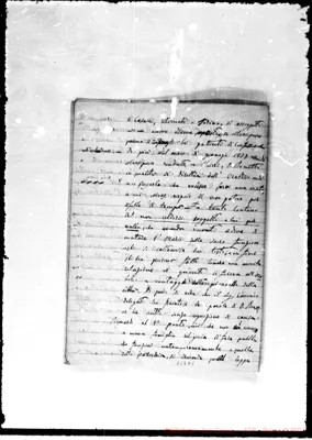 Fotogramma D 5