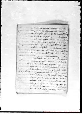 Fotogramma D 9