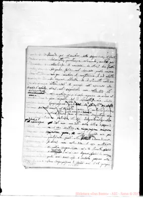Fotogramma D 11