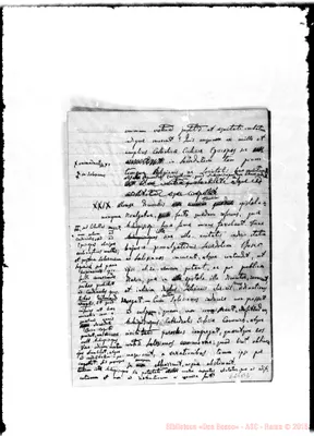 Fotogramma B 2