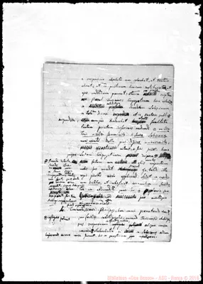 Fotogramma D 8