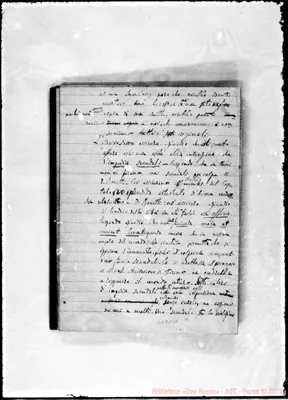 Fotogramma C 11
