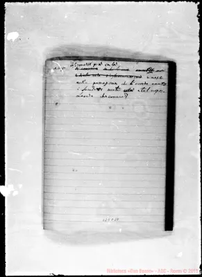 Fotogramma D 10