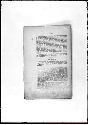 Fotogramma B 11