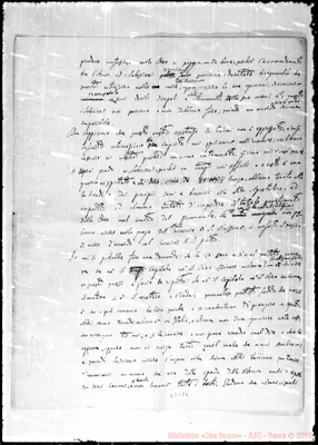 Fotogramma E 8