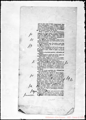 Fotogramma C 11