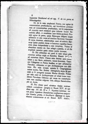 Fotogramma C 10