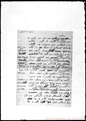 Fotogramma C 8