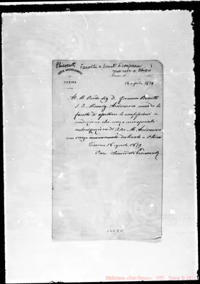 Fotogramma D 11