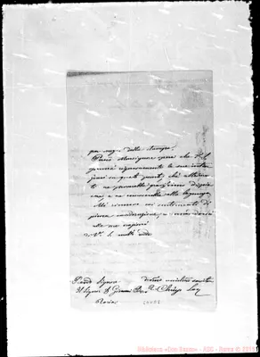 Fotogramma E 8