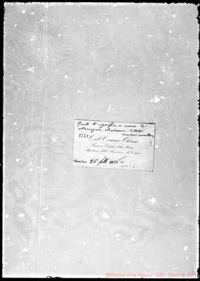 Fotogramma C 5
