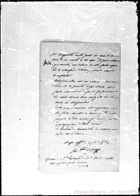 Fotogramma E 8