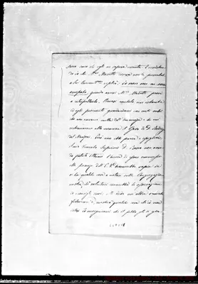 Fotogramma C 11