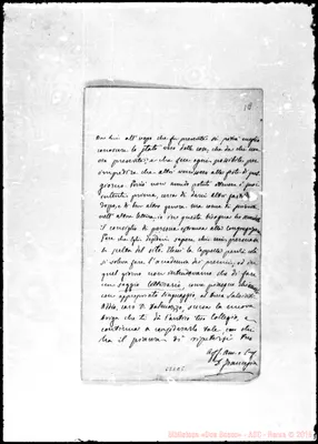 Fotogramma C 5