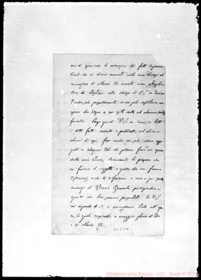 Fotogramma C 11