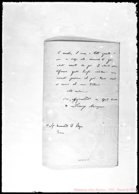 Fotogramma D 11
