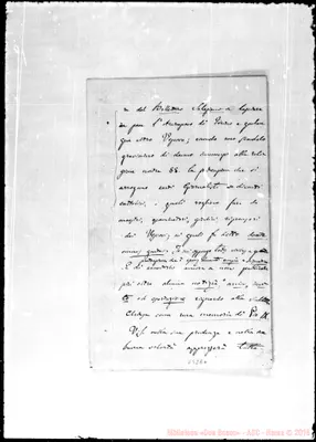 Fotogramma E 6