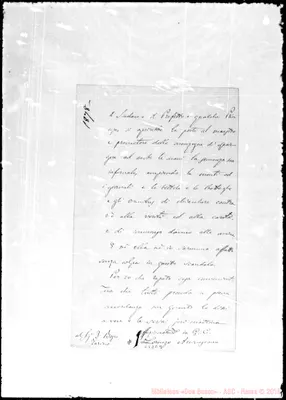 Fotogramma E 9