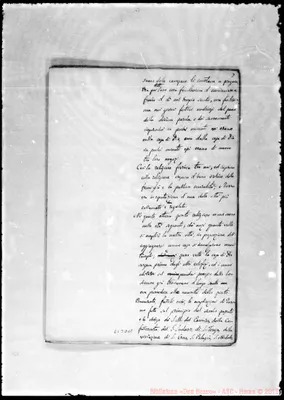 Fotogramma D 11