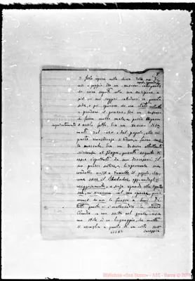 Fotogramma D 3