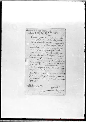 Fotogramma C 11