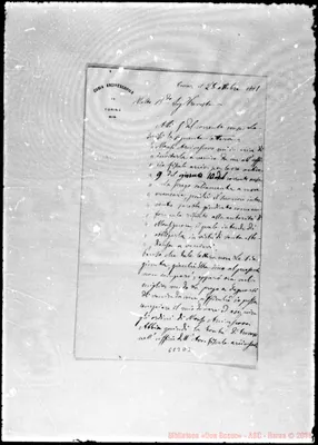 Fotogramma D 3