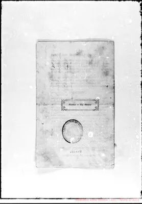 Fotogramma B 12