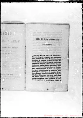 Fotogramma C 3