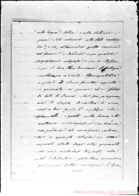 Fotogramma D 11