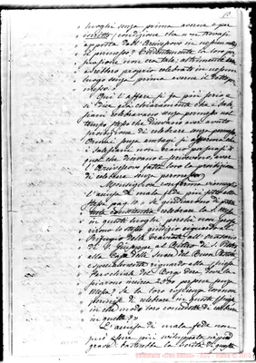 Fotogramma C 11