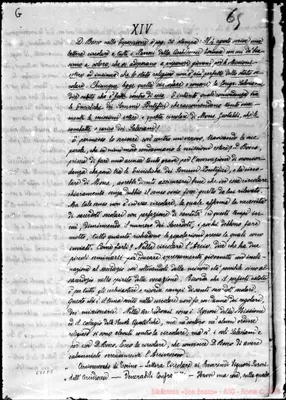 Fotogramma D 8