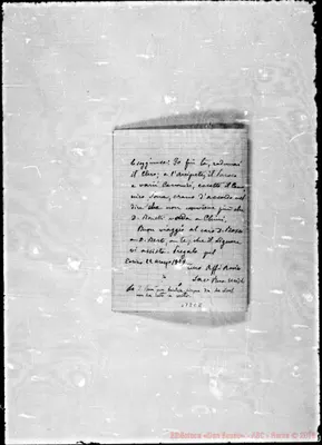 Fotogramma C 8