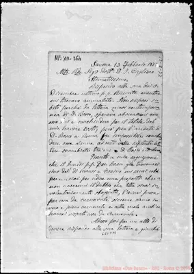Fotogramma C 11
