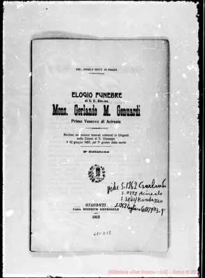 Fotogramma D 12
