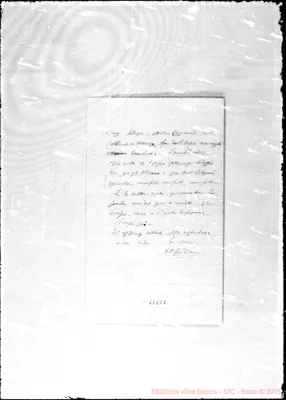 Fotogramma E 8