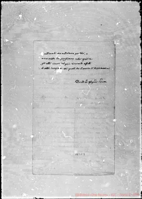 Fotogramma C 3