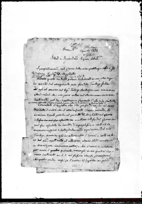 Fotogramma C 11