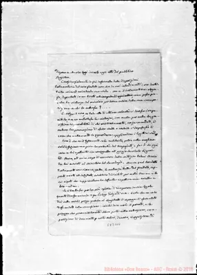 Fotogramma D 10