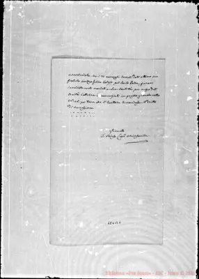 Fotogramma B 6