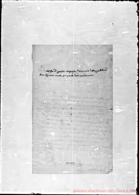 Fotogramma B 8