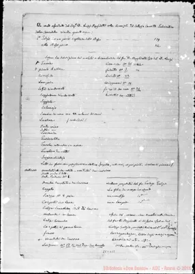 Fotogramma D 12
