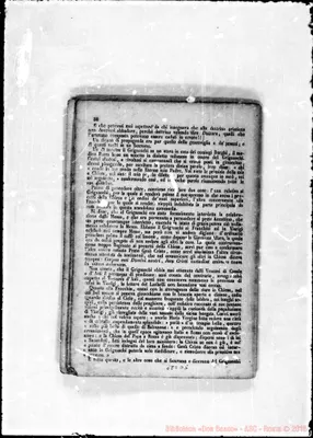 Fotogramma D 5