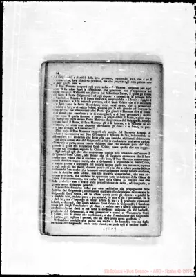 Fotogramma D 9