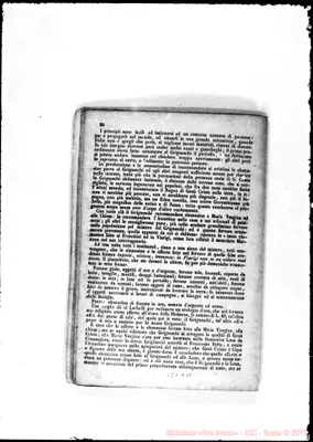 Fotogramma D 11