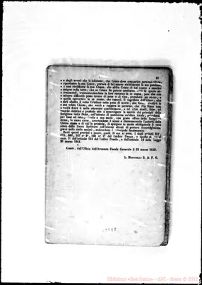 Fotogramma E 8
