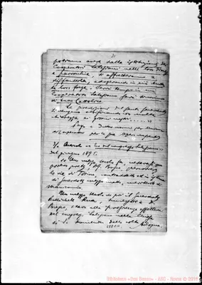 Fotogramma C 11