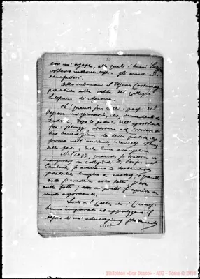 Fotogramma D 5