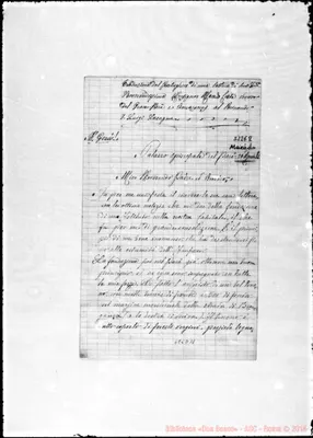 Fotogramma D 11
