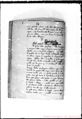 Fotogramma E 8